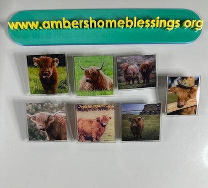 Large Highland Cows & More Glitter Page Clips & Single Side Real Highlands